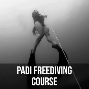 PADI Freediver Course