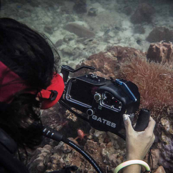 Basic Underwater Videography Course