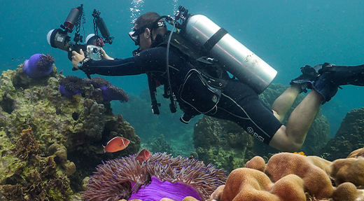 crystalimageskohtao.com-photographer-underwater-kohtao-thailand