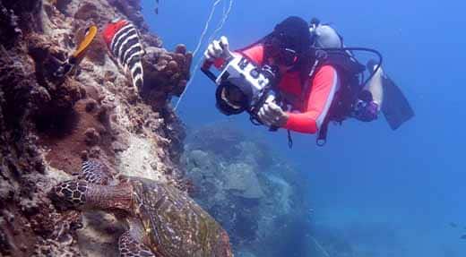 crystalimageskohtao.com-underwater-photographer-course-diver-with-camera-turtle